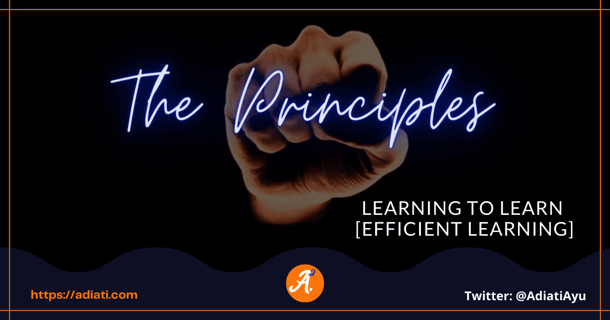 Learning To Learn [Efficient Learning]: The Principles